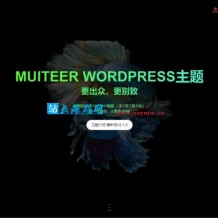WordPress作品展示主题Muiteer2.3.7开心版